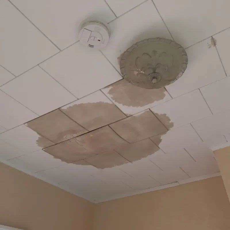 Ceiling Water Damage Repair in Holly Springs, MS