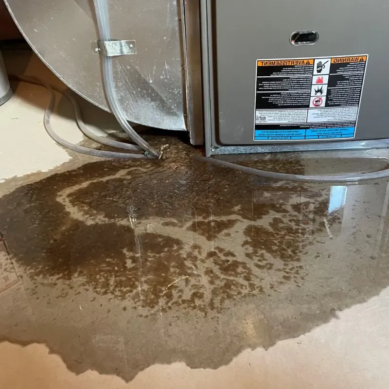 Pipe Burst and Leak Restoration in Holly Springs, MS