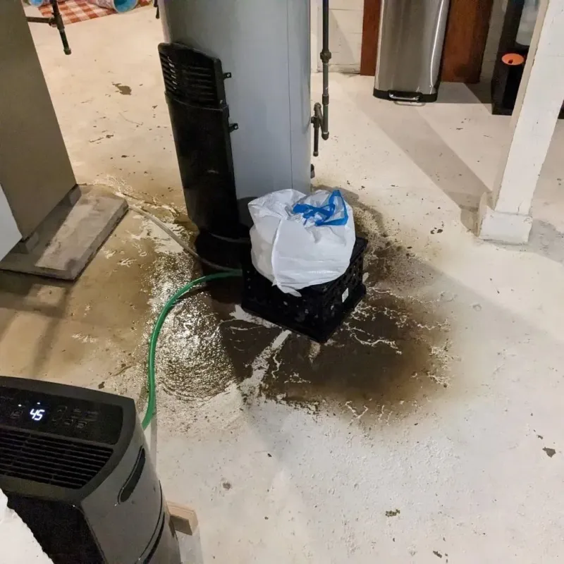 Sewage Backup Cleanup Service in Holly Springs, MS